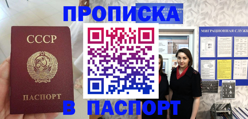 прописка 2025 в Черногорске